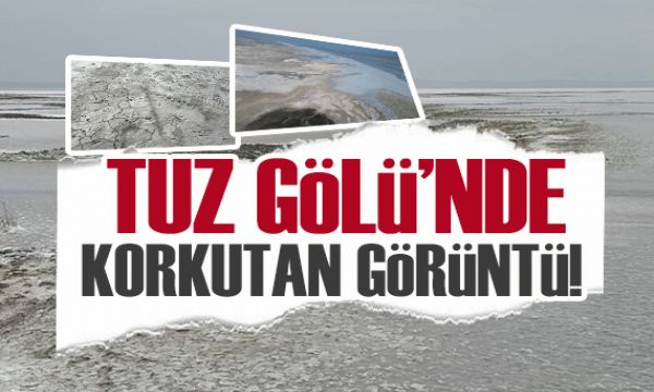 Binlerce kuş türüne ev sahipliği yapıyordu... Tuz Gölü'nde korkutan görüntü