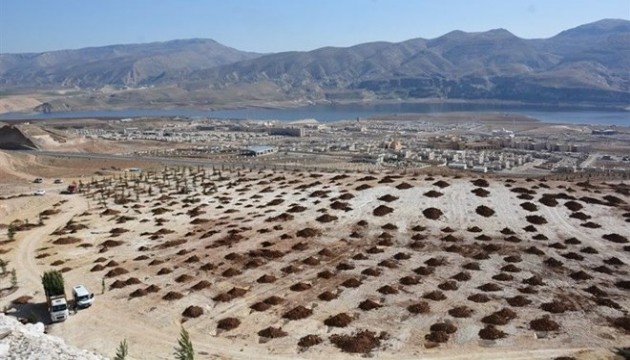 Tarihi Hasankeyf yeşilleniyor