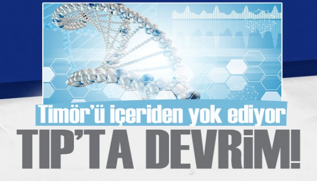 Tümörü kökünden yok eden akıllı bakteriler geliştirildi