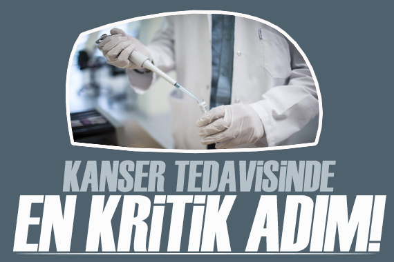 Kanser tedavisinde kritik adım: Erken tanı ve tarama