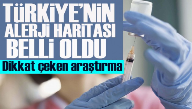 Dikkat çeken araştırma: Türkiye'nin alerji haritası belli oldu