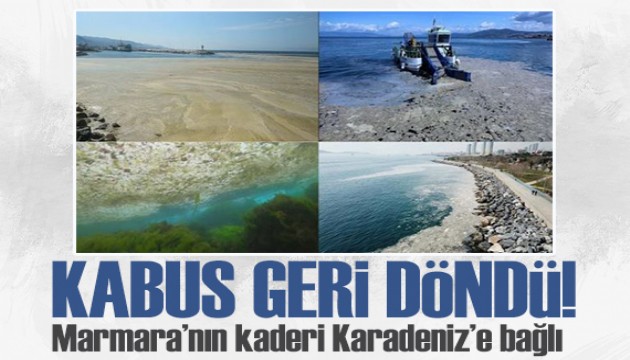 Marmara'nın kaderi Karadeniz'e bağlı: Müsilaj kabusu geri döndü!