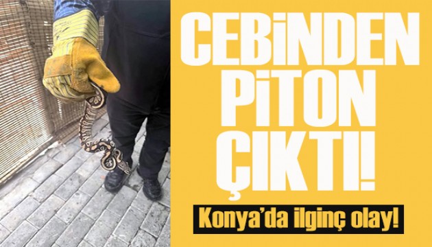 Asayiş uygulamasında ilginç an: Cebinden piton çıktı!