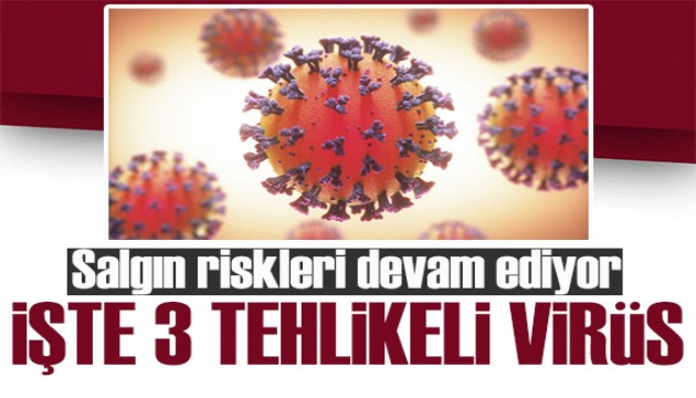 Uzmanlara göre salgın riskleri devam ediyor! İşte üç tehlikeli virüs