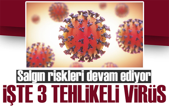Uzmanlara göre salgın riskleri devam ediyor! İşte üç tehlikeli virüs