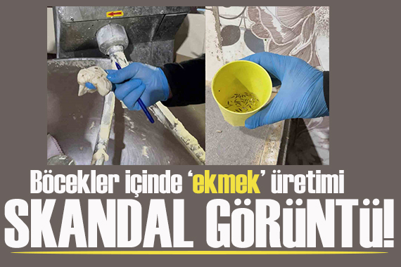 Pes dedirten görüntü!  Böcekler içinde ekmek üretimi