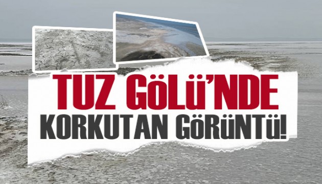 Binlerce kuş türüne ev sahipliği yapıyordu... Tuz Gölü'nde korkutan görüntü