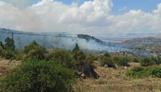 Diyarbakır'da ormanlık alanda yangın çıktı, üzüm bağına sıçradı