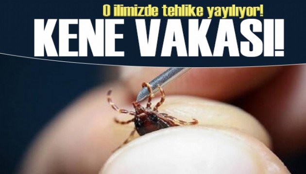 Kabus dibimize kadar geldi: O ilimizde vaka sayısı arttı