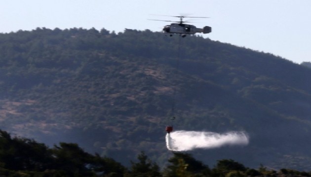 Manisa'da orman yangını kontrol altında