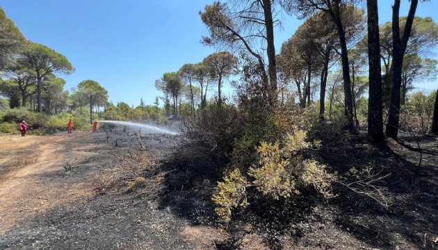 Antalya'daki orman yangını kontrol altında