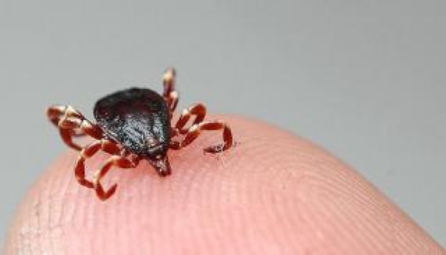 Kenelerin en çok tercih ettiği kan grubu belli oldu
