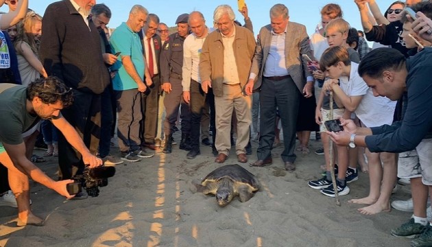 Caretta caretta 'Cumhuriyet'i 5 bin kişi izledi