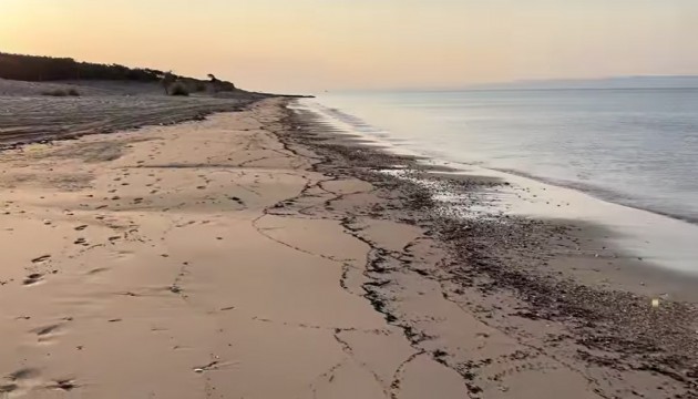 Çanakkale yangınının izleri... Kıyı şeridi siyaha büründü