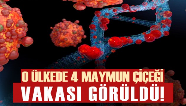 Tayvan'da 4 yeni Maymun çiçeği vakası görüldü