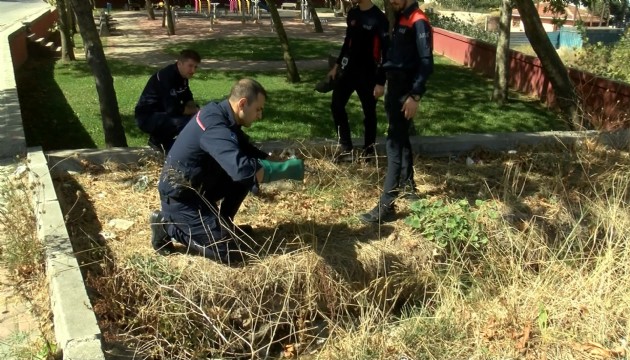 İstanbul'da kimyasal madde paniği!