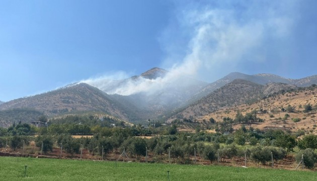 Kahramanmaraş'ta orman yangını!