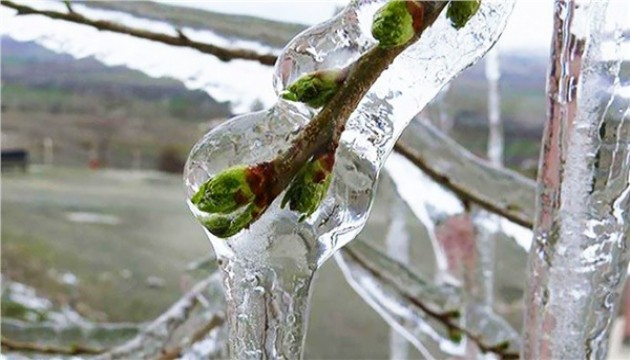 İzmir için soğuk hava ve zirai don uyarısı
