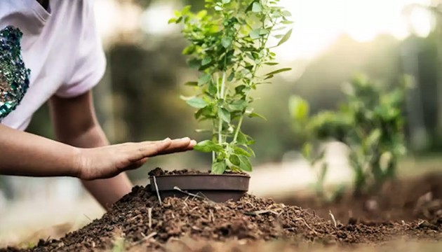 Spor kulüplerinden Hatay için 'fidan' kampanyası!