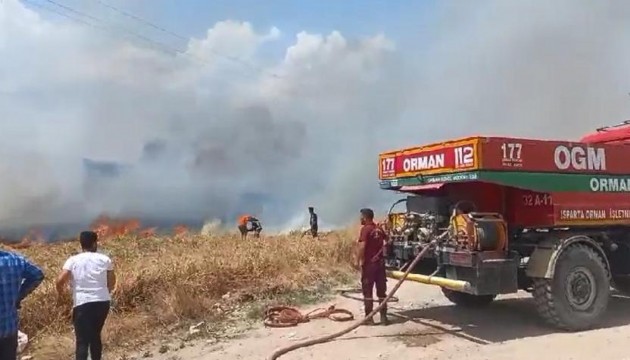 Tarlada çıkan yangın ormana sıçradı