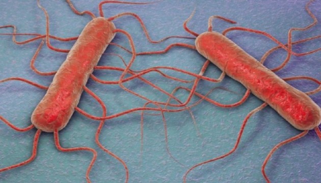 ABD'de listeria alarmı: 6 kişi öldü!