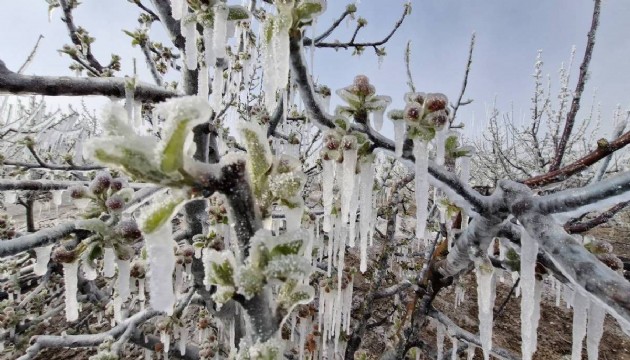 Valilikten 'zirai don' uyarısı