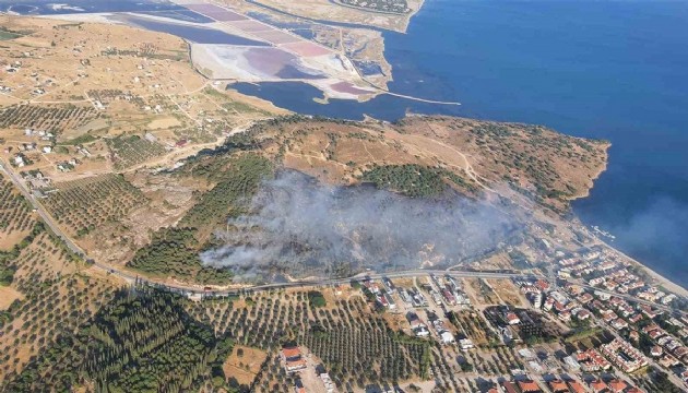 İzmir Dikili'de orman yangını!