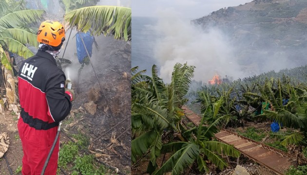 Antalya'da muz bahçesinde yangın!