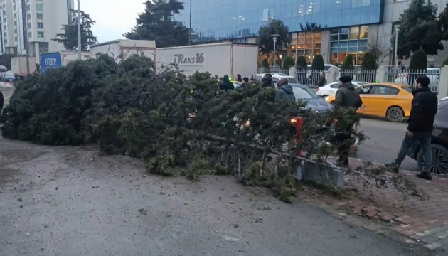 Şiddetli rüzgar Bahçelievler'de ağaç devirdi! 1 yaralı