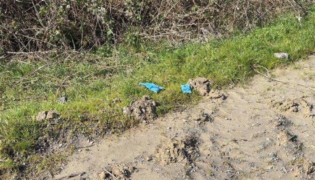 Çinli iş insanının cansız bedeni Arnavutköy'de bulundu