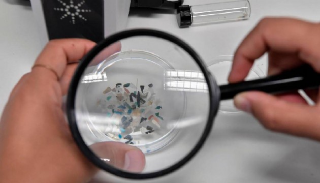 Mikroplastikler prostat kanseri riskini artırıyor mu?