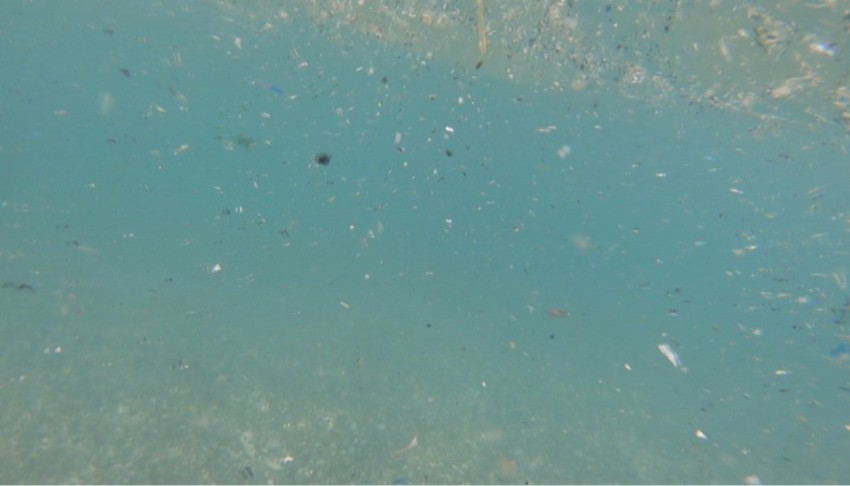 Uzman isimden Konyaaltı Plajı uyarısı: Deniz yüzeyindeki parçacıklar mikroplastik