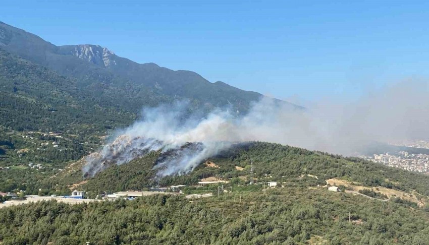 Bursa'da üç ilçede orman yangını