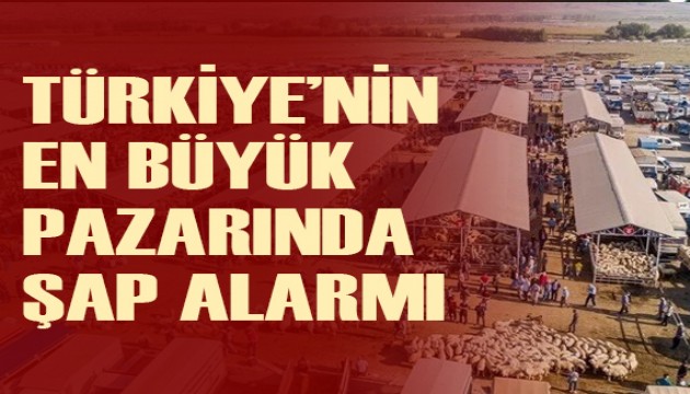 Türkiye'nin en büyük hayvan pazarında şap karantinası