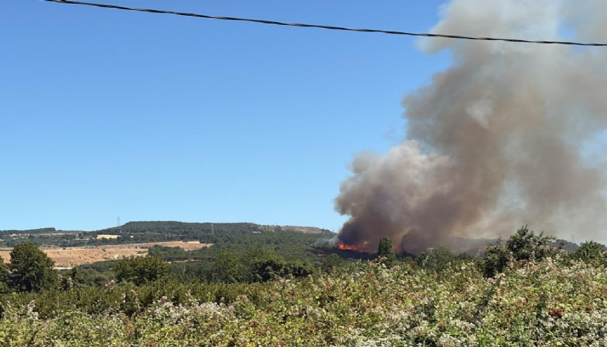 Çanakkale'de tarım arazisinde yangın