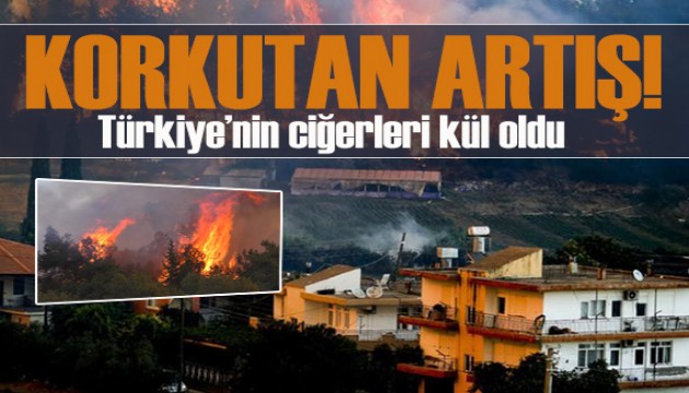 Türkiye'de orman yangınları yüzde 78 arttı