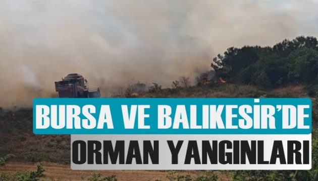 Yanan zeytinliklere havadan ve karadan müdahale