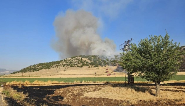 Çiftçi ne olduğunu bile anlamadı