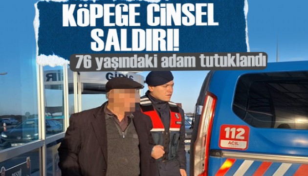 76 yaşındaki adam köpeğe cinsel saldırıdan tutuklandı!