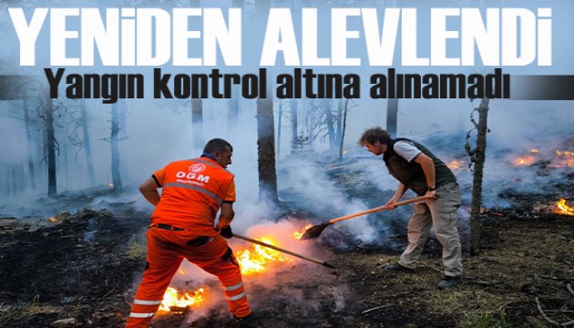 Ankara'dan Bolu'ya sıçrayan yangın yeniden alevlendi