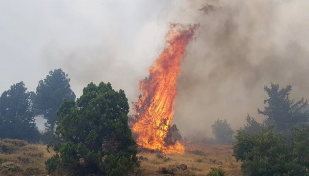 İspanya’da 50'den fazla bölgede orman yangını