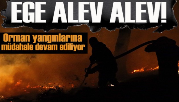 Muğla'da ciğerlerimiz alev alev!  Yangınlara havadan ve karadan müdahale sürüyor