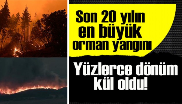 Son 20 yılın en büyük orman yangını: Binlerce dönüm kül oldu