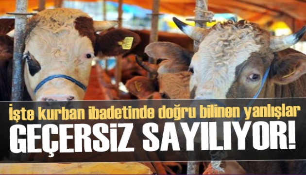 Sakın böyle yapmayın! İşte kurban ibadetinde doğru bilinen yanlışlar