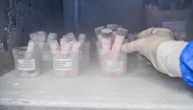 Deri bankası yanık tedavisinde önemli rol oynuyor