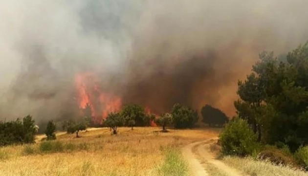 Manisa'da orman yangını