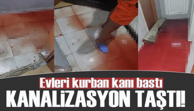 Kanalizasyondan gelen kurban kanı 2 daireyi bastı!