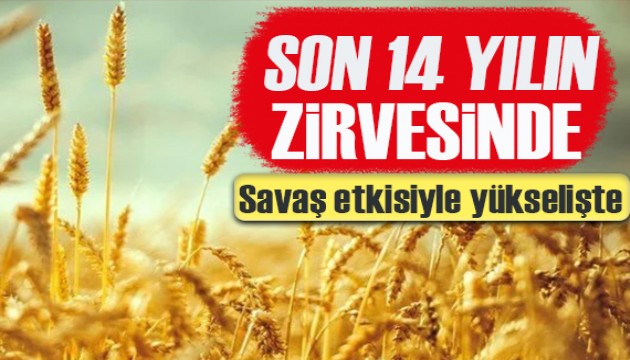 Savaşın yıkıcı izleri! Buğday fiyatları 14 yılın zirvesinde