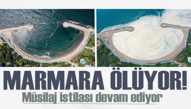 Deniz altında göz gözü görmüyor!  Müsilaj Marmara'yı istila etti