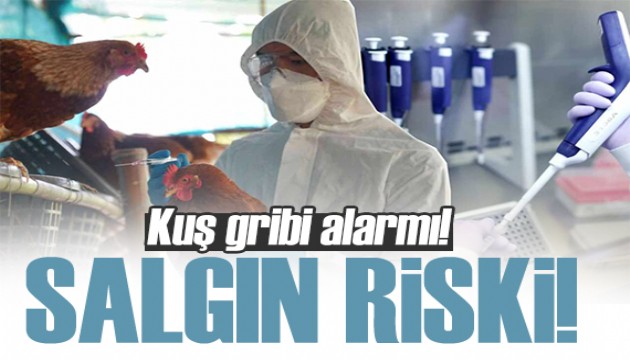 Kuş gribi alarmı! H5N1 pandemi riski taşıyor